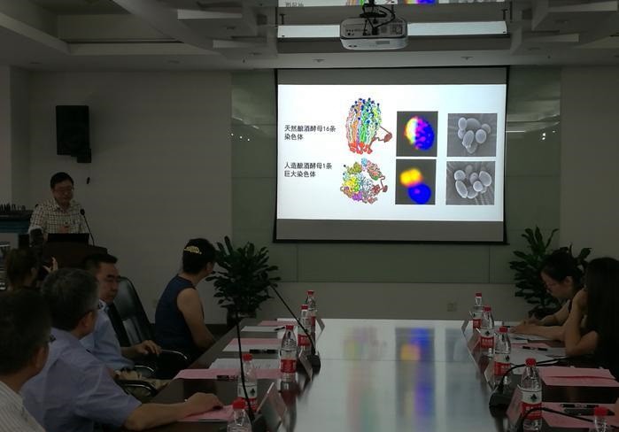 中国科学家重大突破：世界首例人工单染色体真核细胞诞生