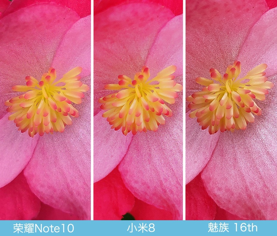 魅族16、小米8、荣耀Note10拍照对比评测 国产旗舰相机对决
