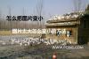 怎么把图片变小 图片太大怎么变小的方法