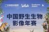 2021中国野生生物影像年赛全面启动，高通骁龙成为独家影